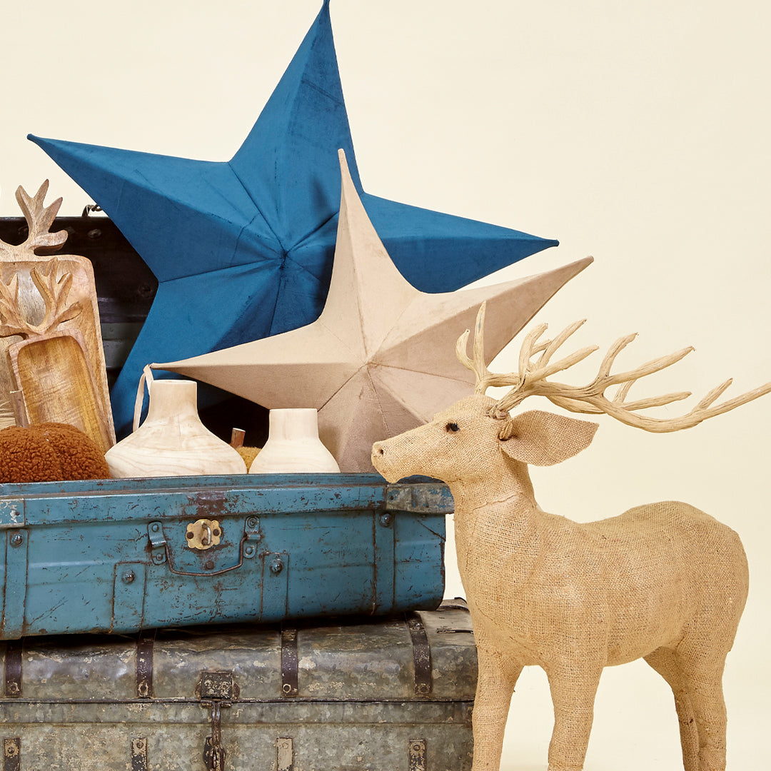 Estrella terciopelo nude