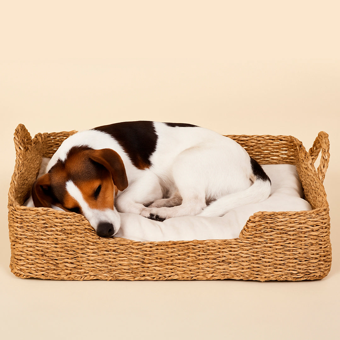 Cama para mascota rectangular de fibra natural con asas 60x45x15 cm