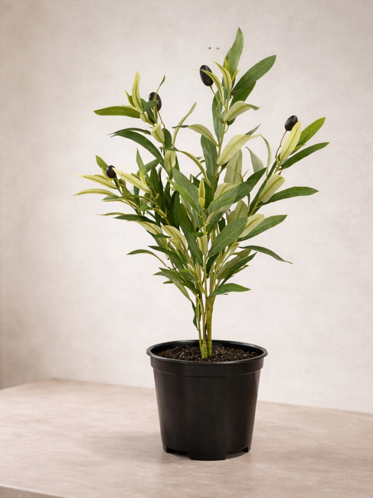 Mini olivo artificial en maceta — decoración mediterránea natural
