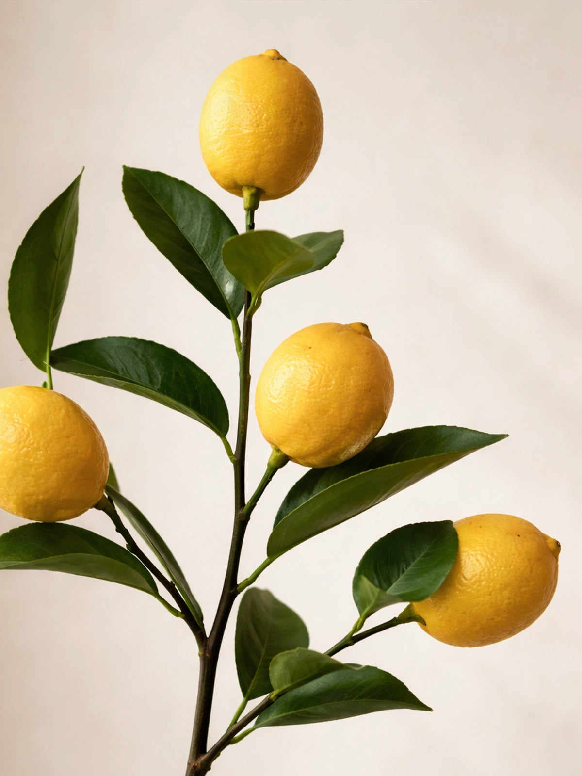 Rama Amalfi de limones artificiales — decoración mediterránea natural