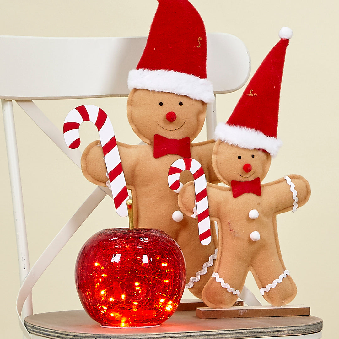 Manzana cristal roja 10 leds+timer