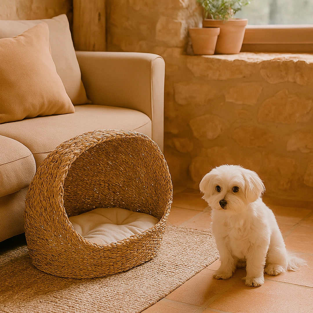 Cama para mascotas de junco de mar Corso con cojín