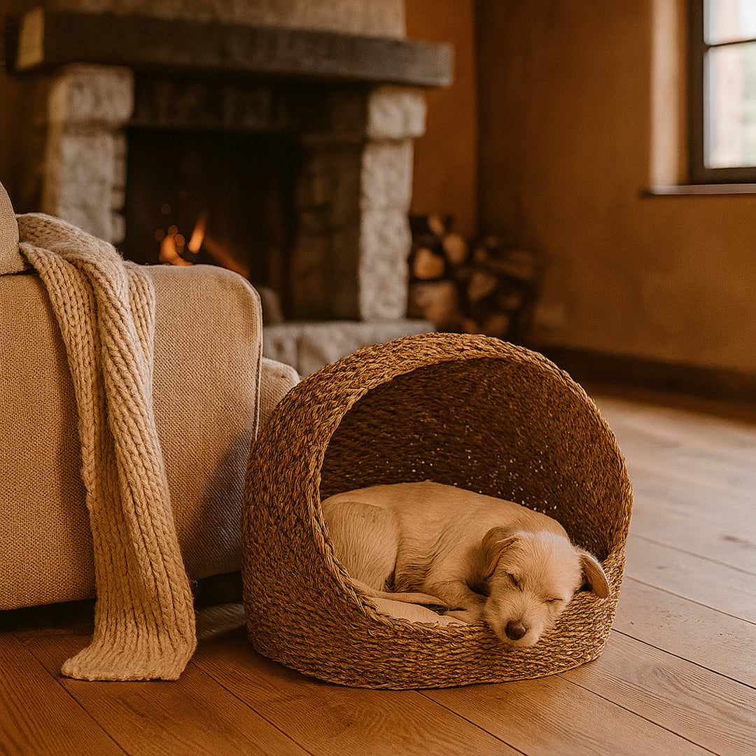 Cama para mascotas de junco de mar Corso con cojín