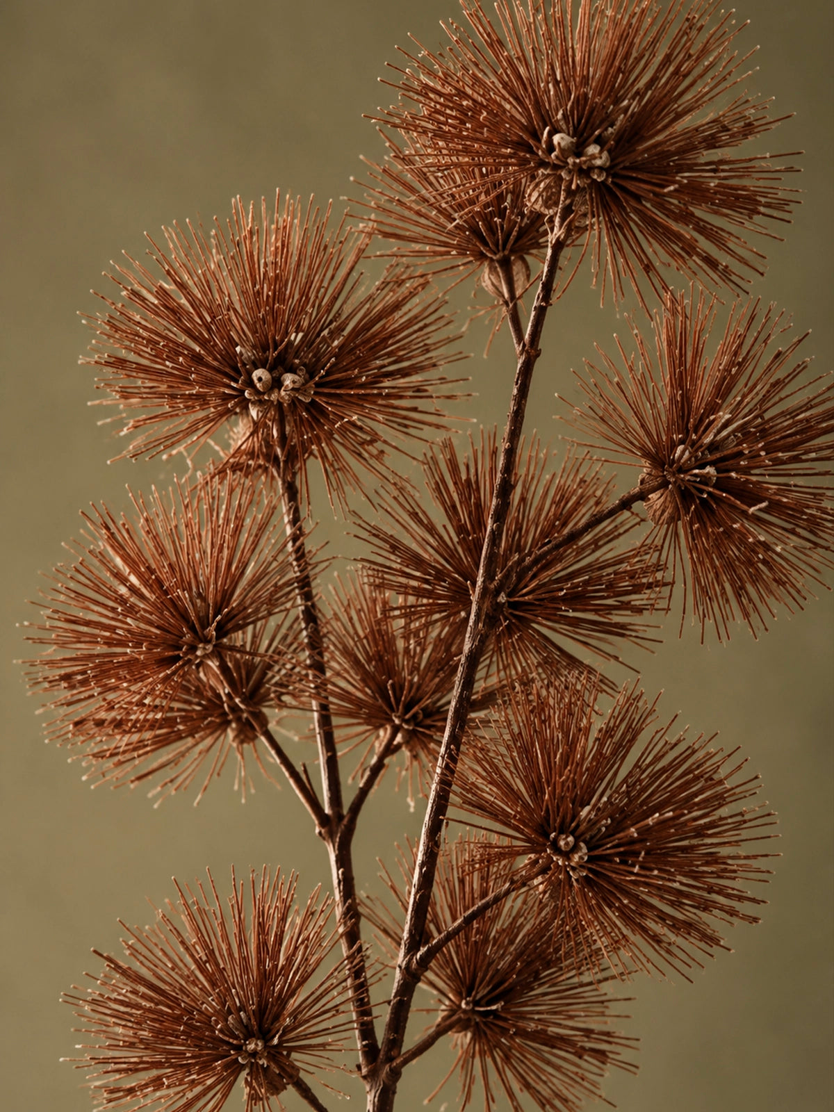 Rama Decorativa de Púas Otoñales Color Tierra – 21 cm
