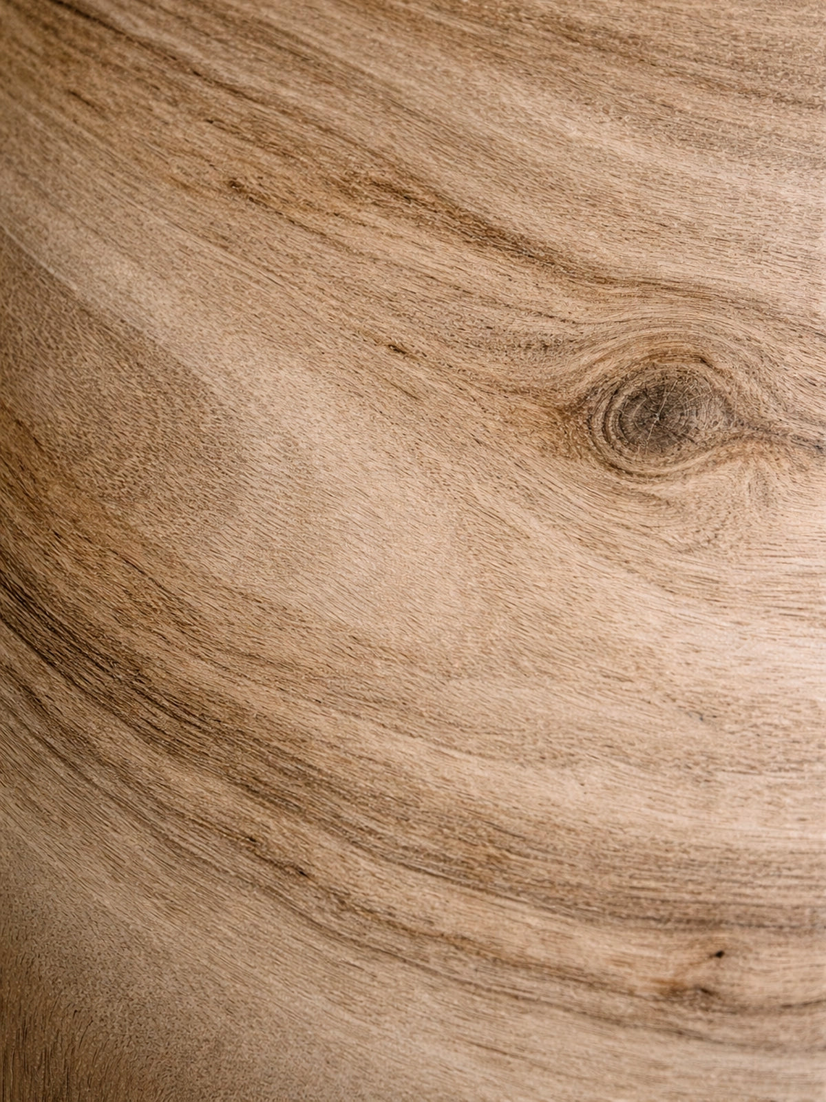 Jarrón Kale de madera de paulownia natural 22x50 cm — jarrón decorativo alto y escultórico